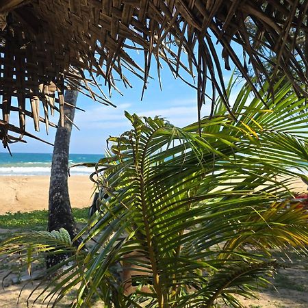 Talalla Beach Bungalows Ngoại thất bức ảnh